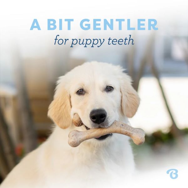 בנבון צמד צעצועי לעיסה לגורים – עצם גומי ו-ווישבון בטעם בייקון – תמונה 5